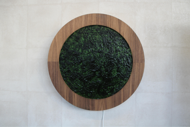 Das Algenbild Alwe, ein natürlicher Luftfilter von Solaga, hängt in einem Holzrahmen an der Wand.